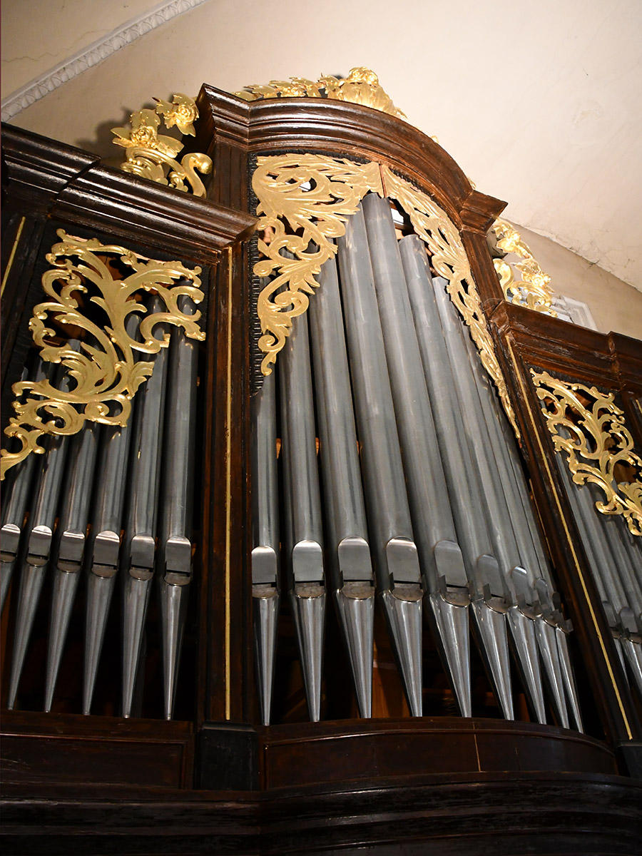 Organs3